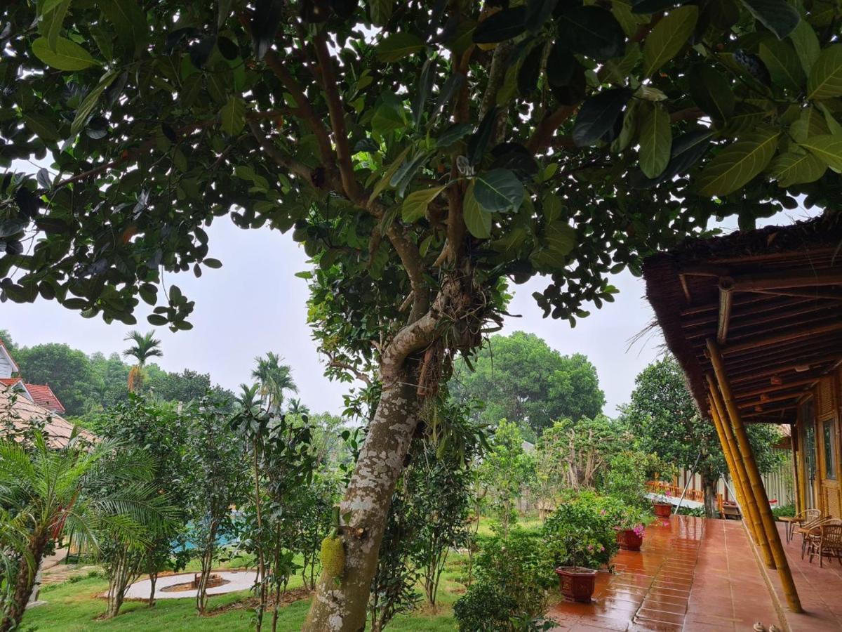 Byve Garden Villa Hanoi Eksteriør bilde