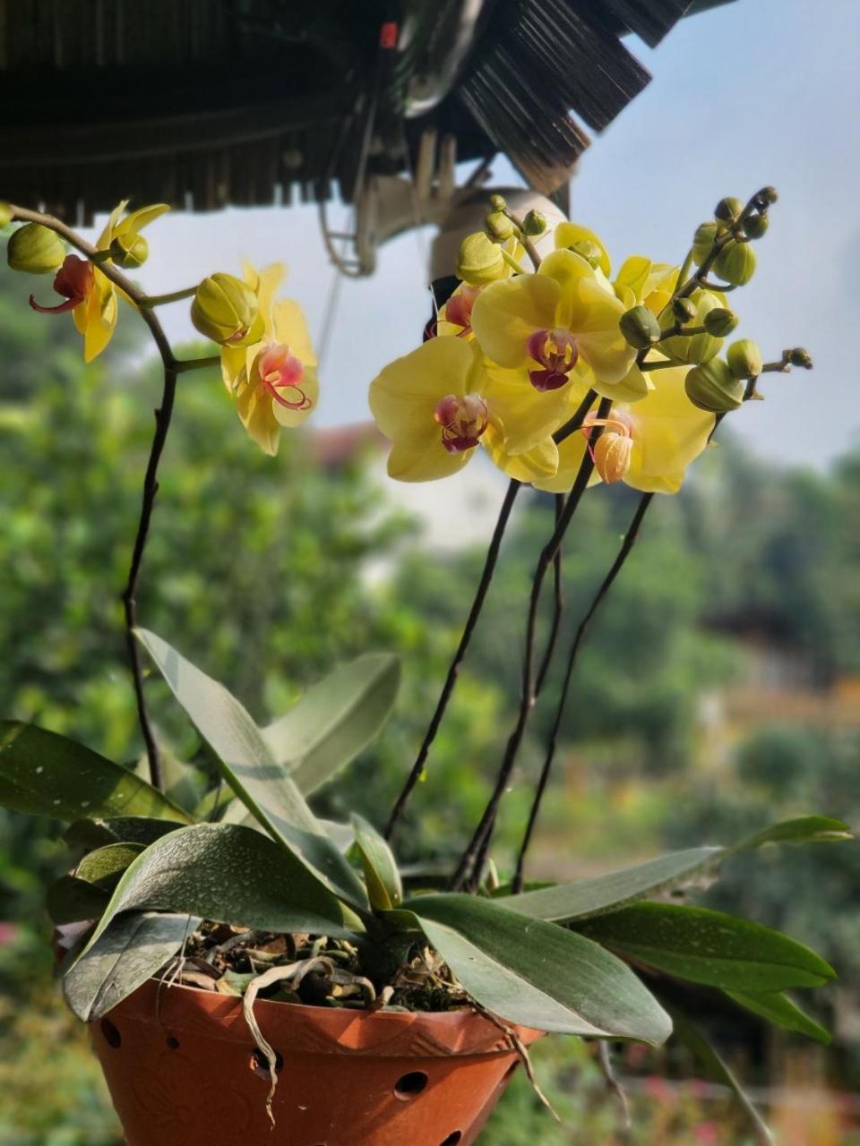 Byve Garden Villa Hanoi Eksteriør bilde